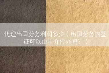 代理出国劳务利润多少（出国劳务的签证可以由中介代办吗？）