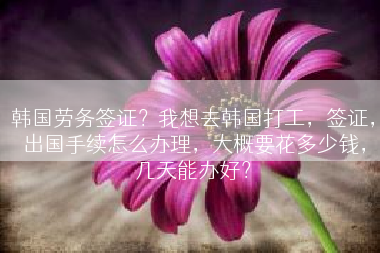 韩国劳务签证？我想去韩国打工，签证，出国手续怎么办理，大概要花多少钱，几天能办好？