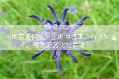 出国劳务保险？想出国打工，有谁知道哪家劳务比较靠谱？