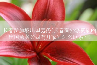长春新加坡出国劳务(长春有外派资质的出国劳务公司有几家？怎么联系？)