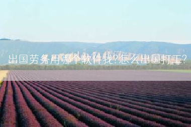 出国劳务用哪个软件找?怎么出国打工?