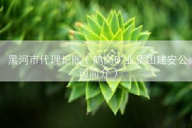 黑河市代理记账（鹤岗矿业集团建安公司简介）