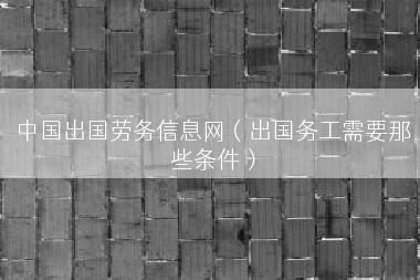 中国出国劳务信息网（出国务工需要那些条件）