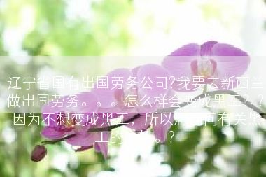 辽宁省国有出国劳务公司?我要去新西兰做出国劳务。。。怎么样会变成黑工？？ 因为不想变成黑工，所以想问问有关黑工的事情。?