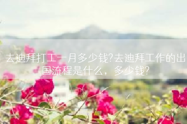 去迪拜打工一月多少钱?去迪拜工作的出国流程是什么，多少钱?