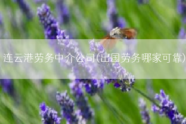 连云港劳务中介公司(出国劳务哪家可靠)