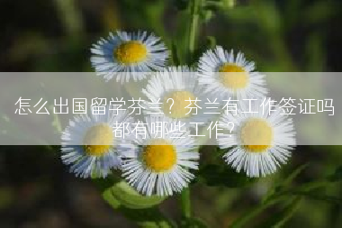 怎么出国留学芬兰？芬兰有工作签证吗都有哪些工作？