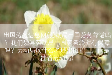 出国劳务信息网(劳动局出国劳务靠谱吗？我们魏县劳动局出国劳务派遣有保障吗？劳动局以什么名域出国招工，他是挂着劳动局)