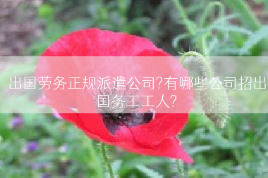 出国劳务正规派遣公司?有哪些公司招出国务工工人?