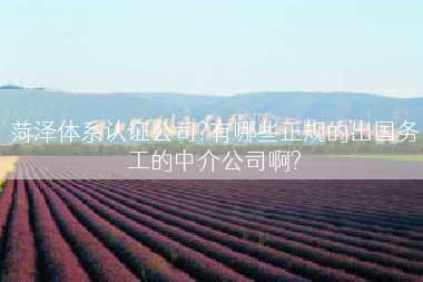 菏泽体系认证公司?有哪些正规的出国务工的中介公司啊?