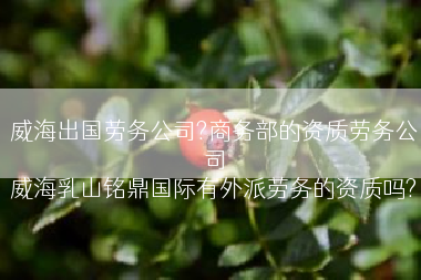 威海出国劳务公司?商务部的资质劳务公司
威海乳山铭鼎国际有外派劳务的资质吗?