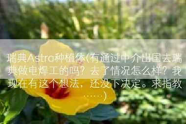 瑞典Astra种植体(有通过中介出国去瑞典做电焊工的吗？去了情况怎么样？我现在有这个想法，还没下决定。求指教……)