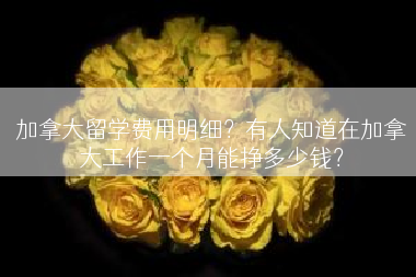 加拿大留学费用明细？有人知道在加拿大工作一个月能挣多少钱？