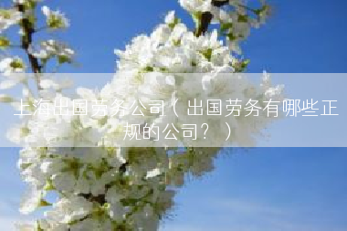 上海出国劳务公司（出国劳务有哪些正规的公司？）