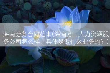 海南劳务合同范本(海南万三人力资源服务公司怎么样，具体是做什么业务的？)