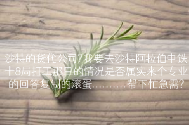 沙特的货代公司?我要去沙特阿拉伯中铁十8局打工那里的情况是否属实来个专业的回答复制的滚蛋..........帮下忙急需?