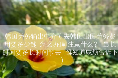 韩国劳务输出中介（去韩国出国劳务费用要多少钱  怎么办理 注意什么？  最长时间要多长时间能去   谁知道麻烦告诉下）