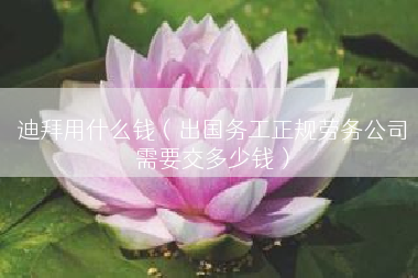 迪拜用什么钱（出国务工正规劳务公司需要交多少钱）