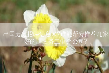 出国劳务招聘信息网?谁能帮我推荐几家好的出国务工中介公司?