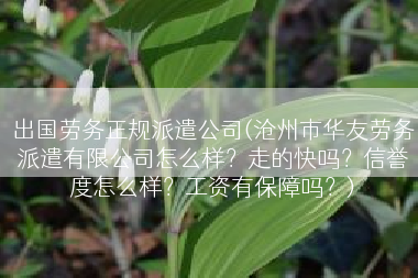 出国劳务正规派遣公司(沧州市华友劳务派遣有限公司怎么样？走的快吗？信誉度怎么样？工资有保障吗？)
