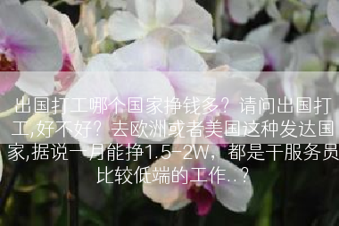 出国打工哪个国家挣钱多？请问出国打工,好不好？去欧洲或者美国这种发达国家,据说一月能挣1.5-2W，都是干服务员比较低端的工作..？