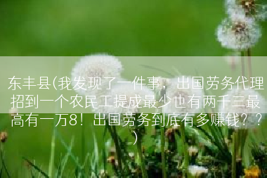 东丰县(我发现了一件事，出国劳务代理招到一个农民工提成最少也有两千三最高有一万8！出国劳务到底有多赚钱？？)