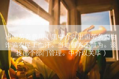 出国劳务费用（黑中介以出国劳务为由诈骗农民工血汗。当地警方不做为。该找那个部门管理。中介以关毕）
