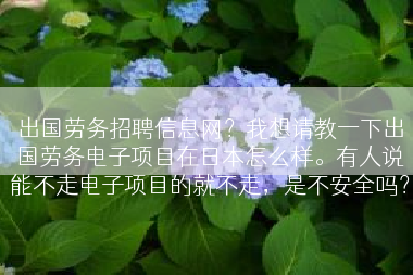 出国劳务招聘信息网？我想请教一下出国劳务电子项目在日本怎么样。有人说能不走电子项目的就不走，是不安全吗？
