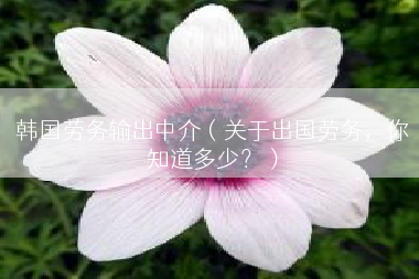 韩国劳务输出中介（关于出国劳务，你知道多少？）