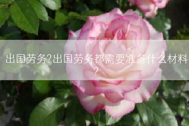 出国劳务?出国劳务都需要准备什么材料?