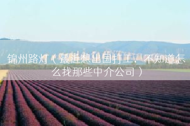 锦州路灯（最近想出国打工，不知道怎么找那些中介公司）