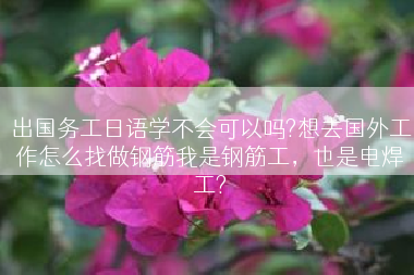 出国务工日语学不会可以吗?想去国外工作怎么找做钢筋我是钢筋工，也是电焊工?