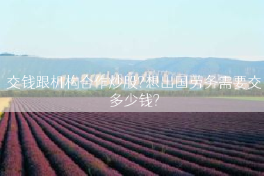 交钱跟机构合作炒股?想出国劳务需要交多少钱?