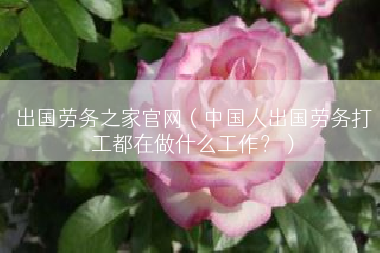 出国劳务之家官网（中国人出国劳务打工都在做什么工作？）