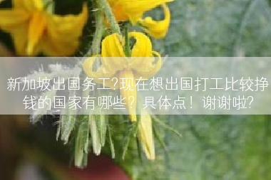 新加坡出国务工?现在想出国打工比较挣钱的国家有哪些？具体点！谢谢啦?