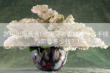 急招出国劳务(出国劳务要经过什么手续？ 需要多少钱？)