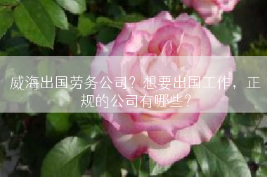 威海出国劳务公司？想要出国工作，正规的公司有哪些？