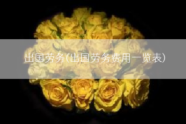 出国劳务(出国劳务费用一览表)