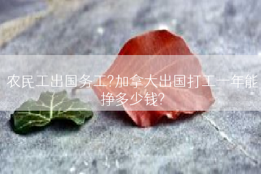 农民工出国务工?加拿大出国打工一年能挣多少钱?
