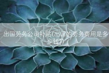 出国劳务公司补贴(出国的劳务费用是多少钱?)