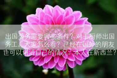 出国劳务需要哪些条件？对于厨师出国务工，大家怎么看？已经在国外的朋友也可以讲讲自己的情况。本人在新西兰？