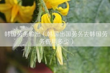 韩国劳务输出（韩国出国劳务去韩国劳务费用多少）