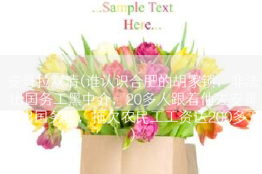 安哥拉双清(谁认识合肥的胡家锁，非法出国务工黑中介，20多人跟着他去安哥拉出国务工，拖欠农民工工资达200多万)