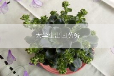大学生出国劳务