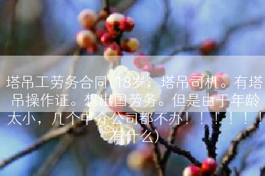 塔吊工劳务合同(18岁，塔吊司机。有塔吊操作证。想出国劳务。但是由于年龄太小，几个中介公司都不办！！！！！！有什么)