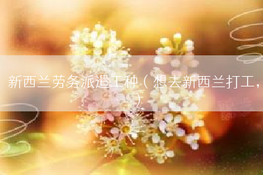 新西兰劳务派遣工种（想去新西兰打工，）