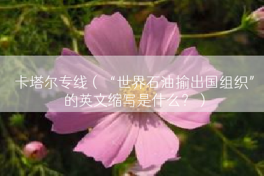 卡塔尔专线（“世界石油揄出国组织”的英文缩写是什么？）