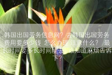 韩国出国劳务信息网？去韩国出国劳务费用要多少钱  怎么办理 注意什么？  最长时间要多长时间能去   谁知道麻烦告诉下？