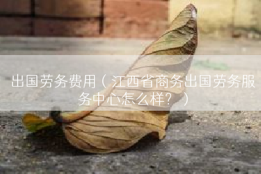 出国劳务费用（江西省商务出国劳务服务中心怎么样？）