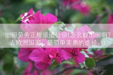 出国劳务正规派遣公司(怎么能出国啊？去欧洲国家，最简单实惠的途径。)